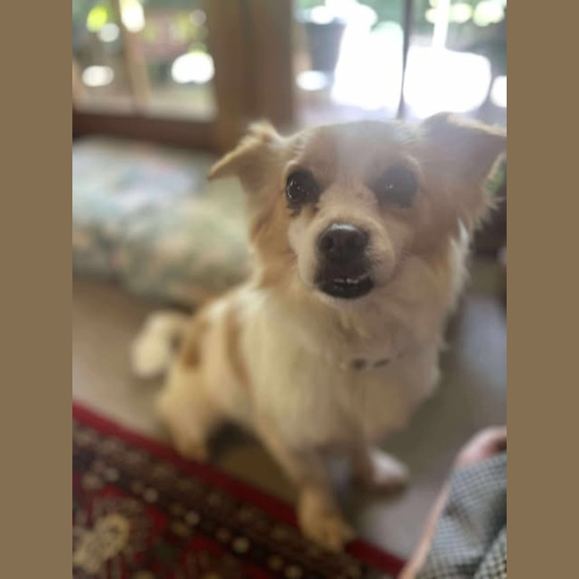 Photo of Pablo