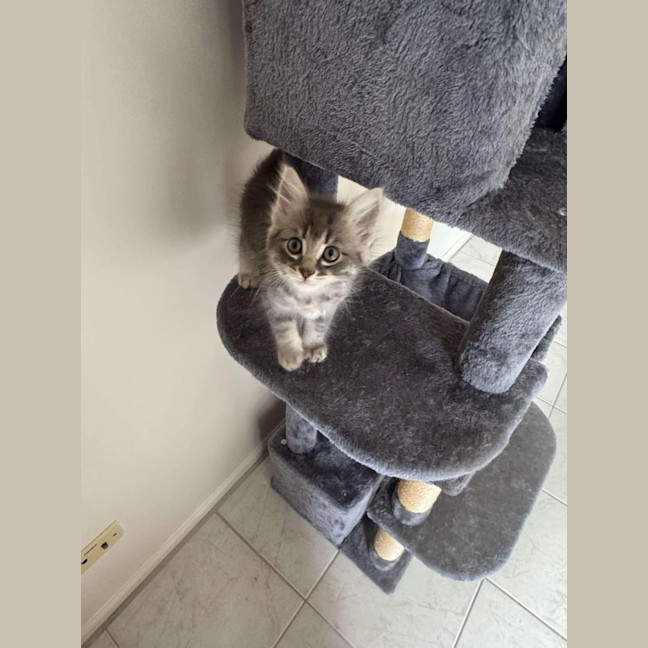 Photo of Maurice 💙