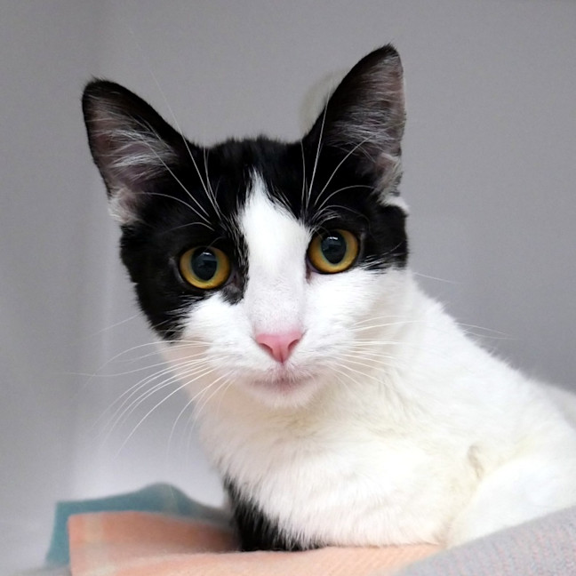 Photo of Daisy Sua015666