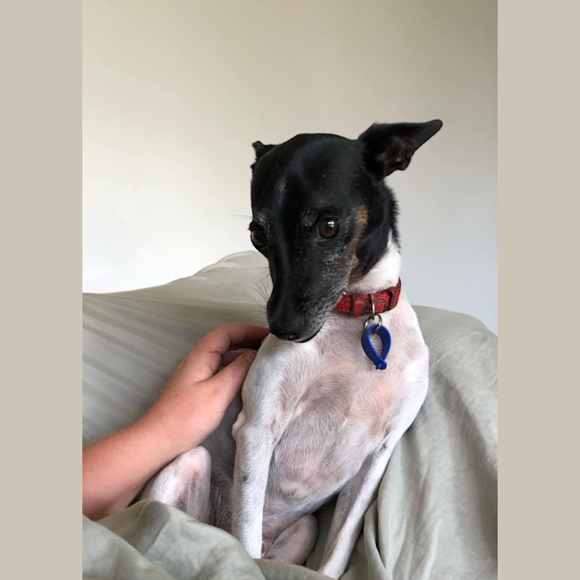 Photo of Tilly And Finn