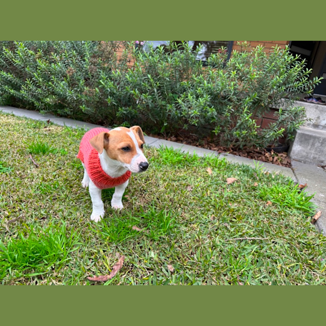 Photo of Gary 