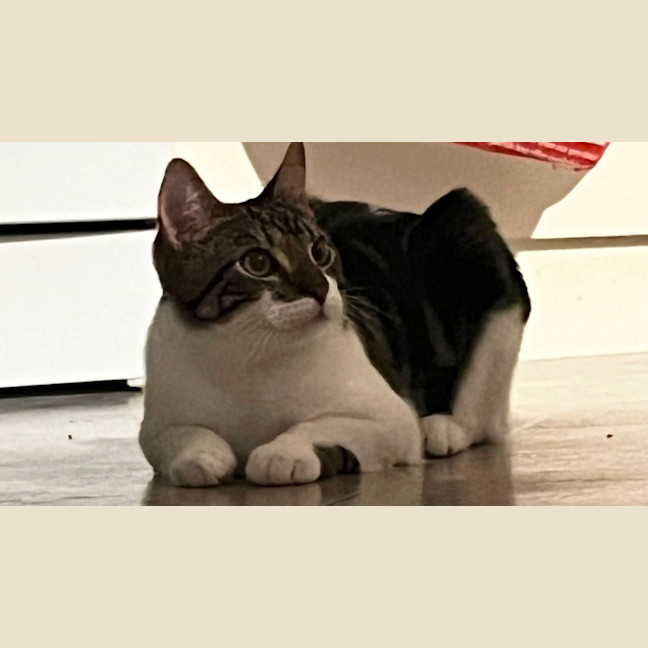 Photo of Christopher 