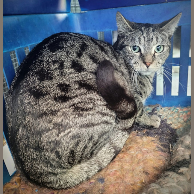 Photo of 🏹 Archer 🏹