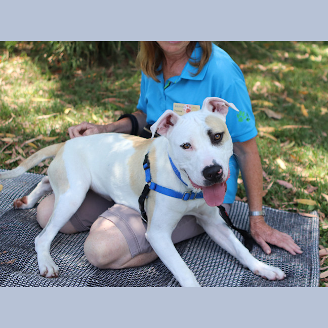 Photo of Buddy