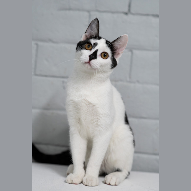 Photo of Candy