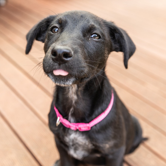 Photo of Winnie
