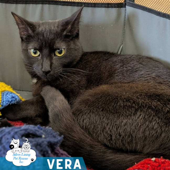 Photo of Vera