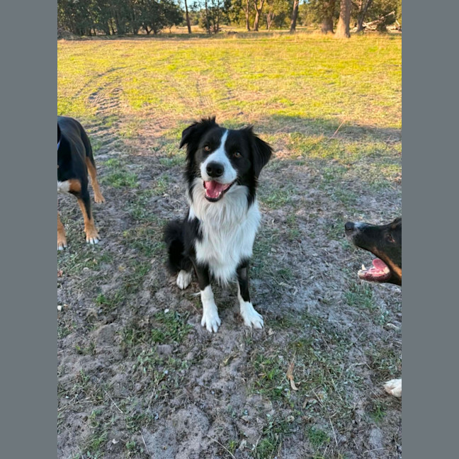 Photo of Zephyr