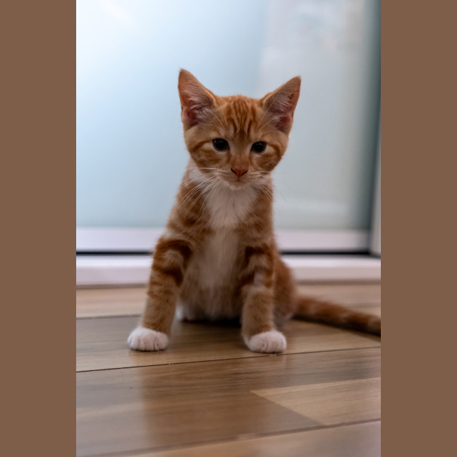 Photo of Kevin