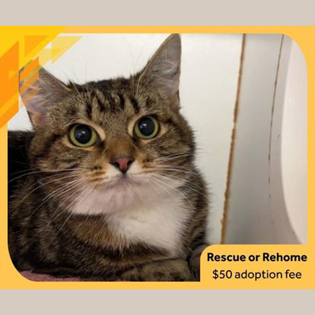 Photo of Bertha