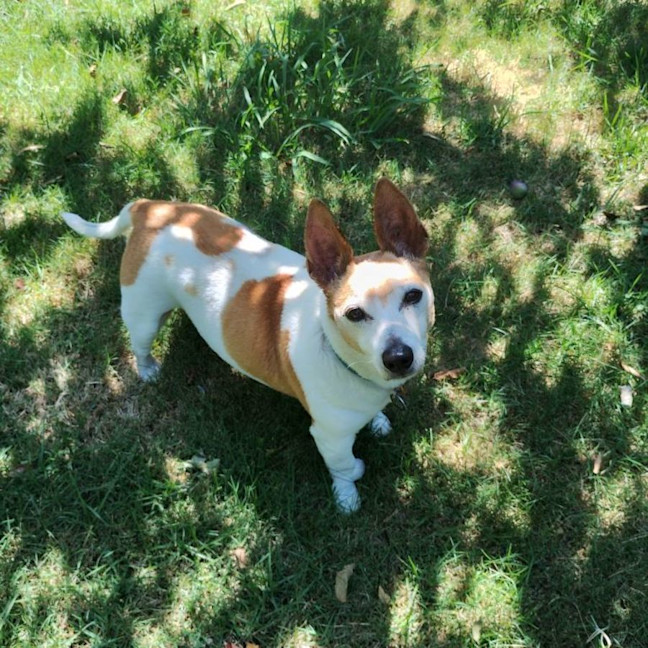 Photo of Elton Moriarty