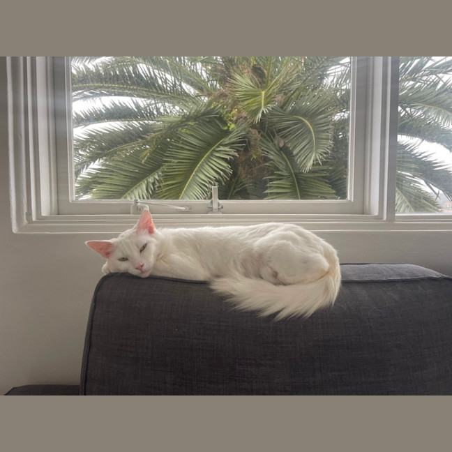 Photo of Dairy Queen