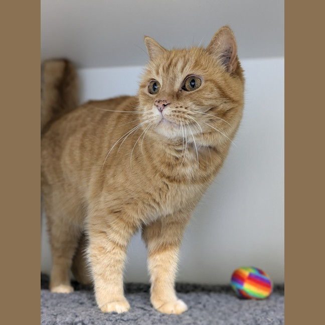 Photo of 🍓 Audrey 5452 🍓