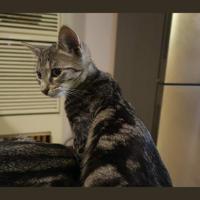 Photo of Emmy