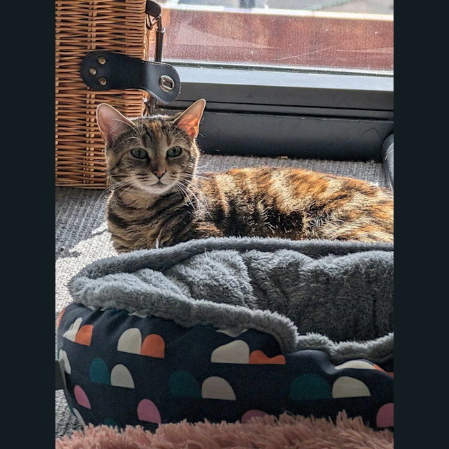 Photo of Jaffa