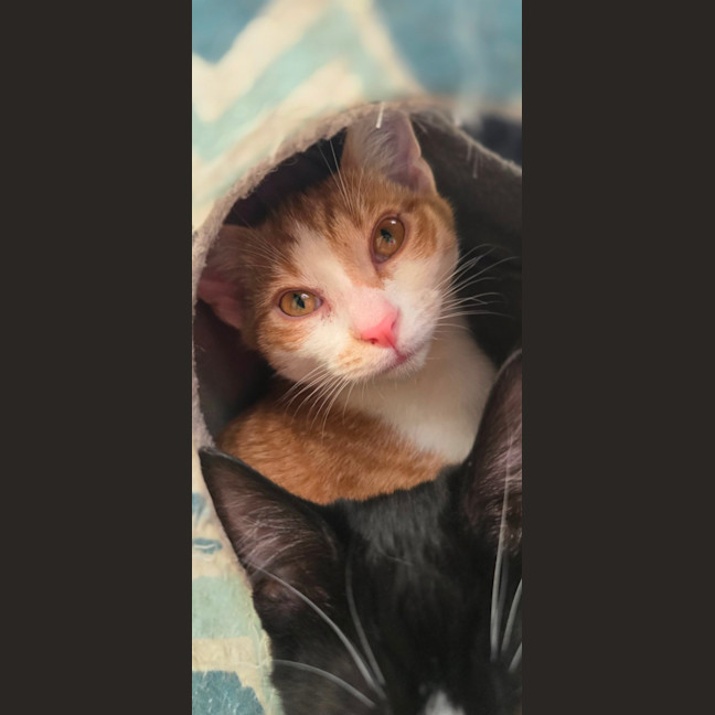 Photo of Aubrey