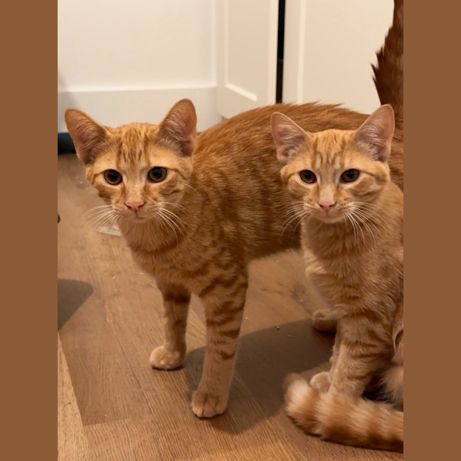 Photo of Sunny's Prophecy