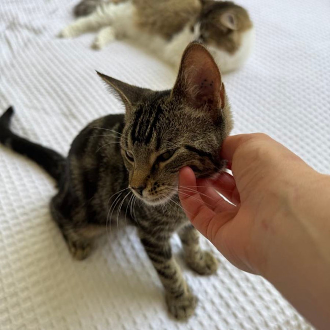 Photo of Liza   Located In Armadale