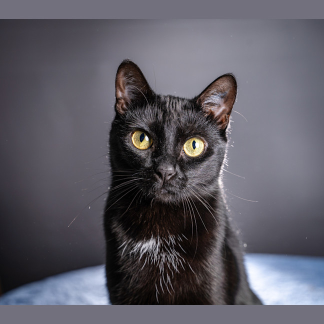 Photo of Betty