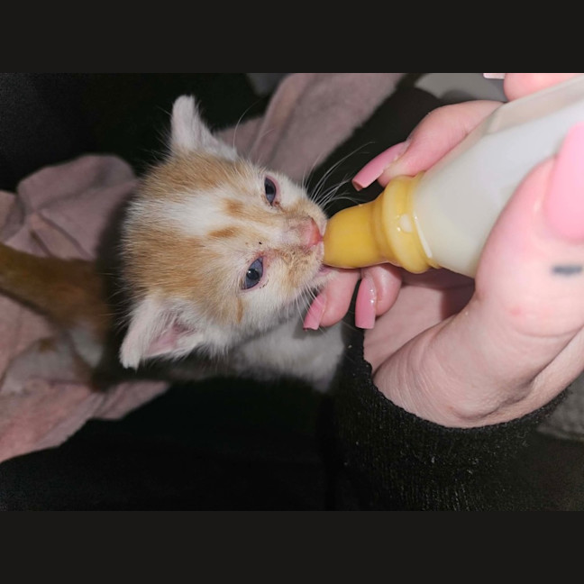 Photo of Oli