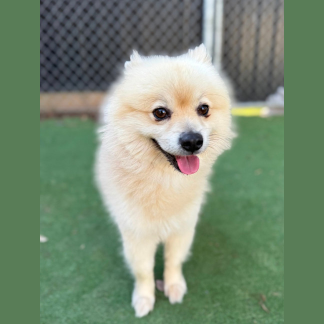 Photo of Spike