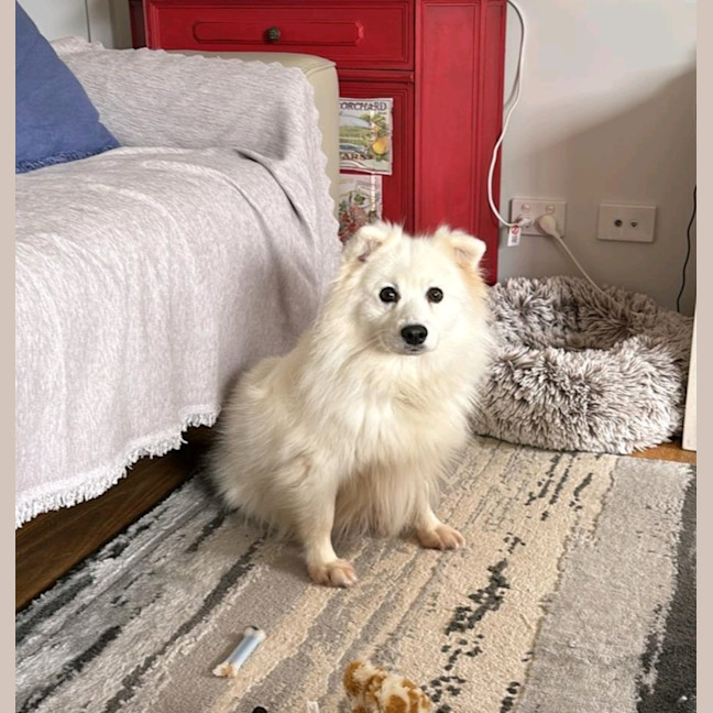 Photo of Keiko