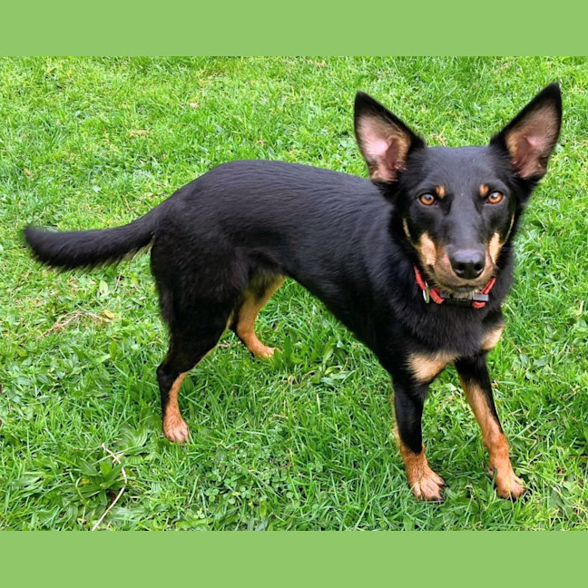 Photo of Lily