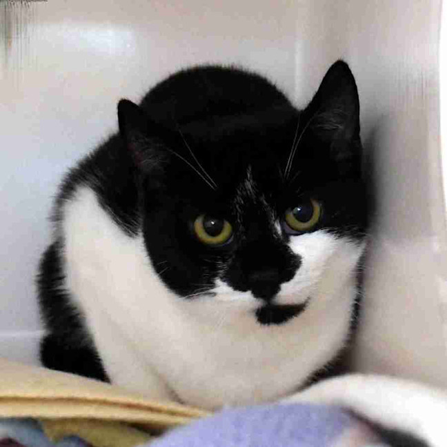 Photo of Jenny Stk013853