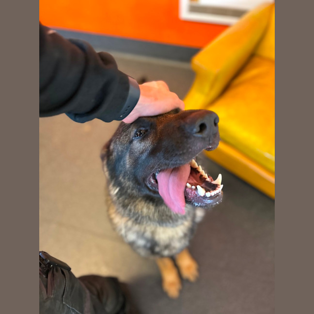 Photo of Duke