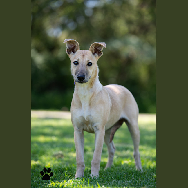Photo of Winnie