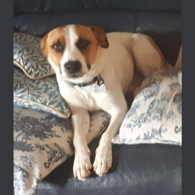 Photo of Jackson Moriarty