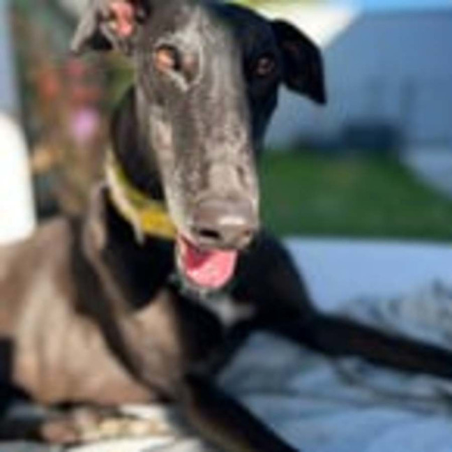 Photo of Bucky