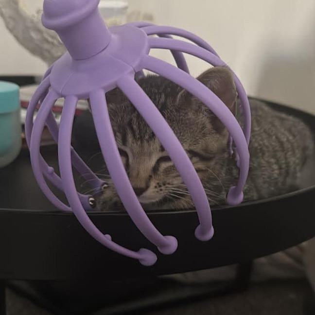 Photo of Pepe Le Pew