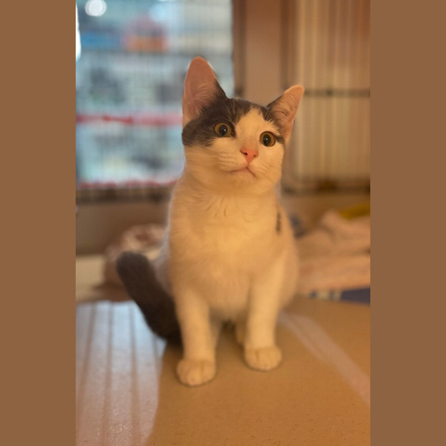 Photo of Hugo