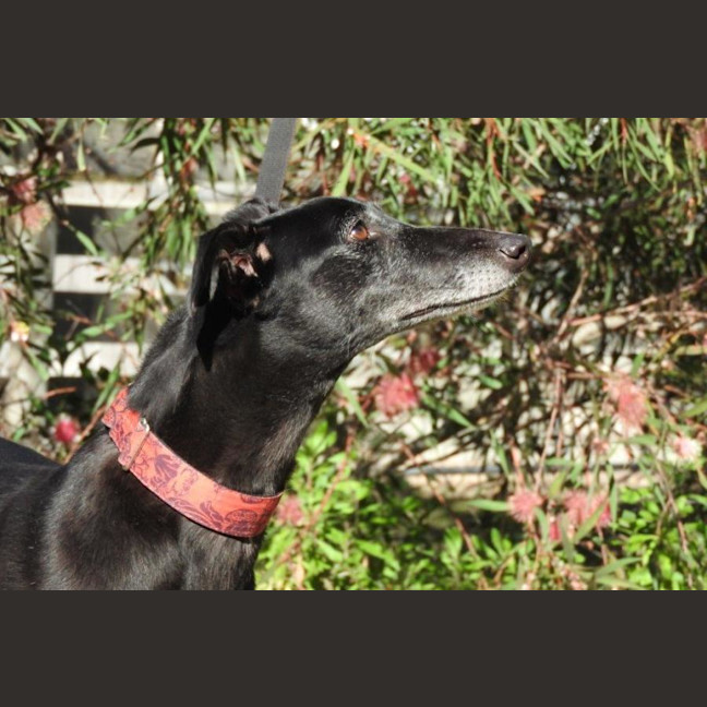 Photo of Heidi