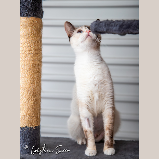 Photo of Chloe