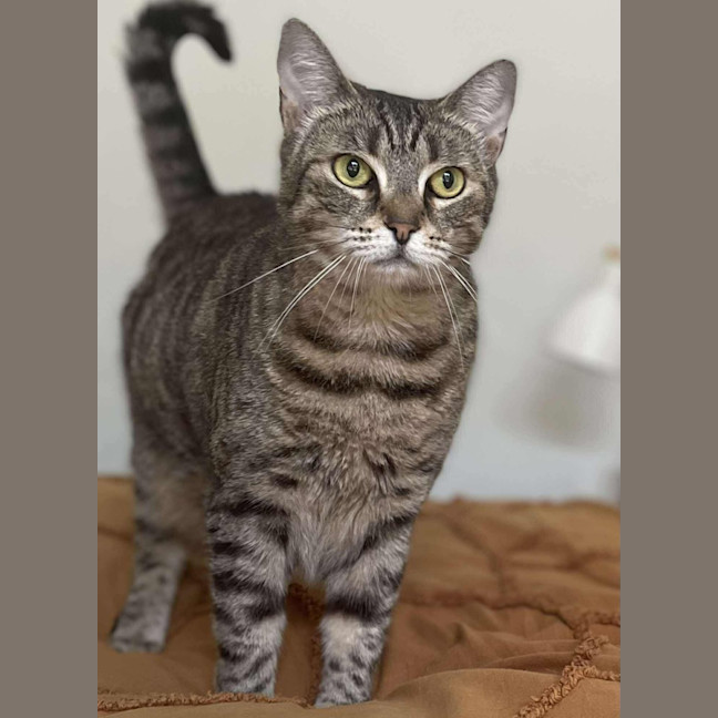 Photo of Kiki