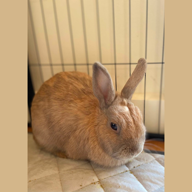 Photo of Spice Unity