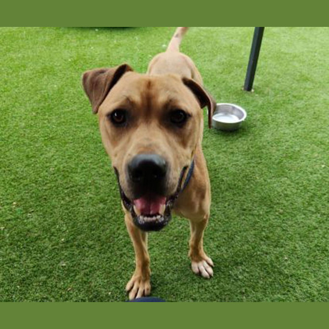 Photo of Mike Wheeler