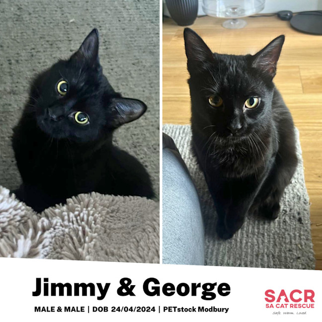 Photo of George & Jimmy