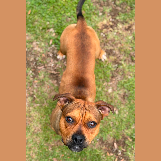Photo of Bugsby 