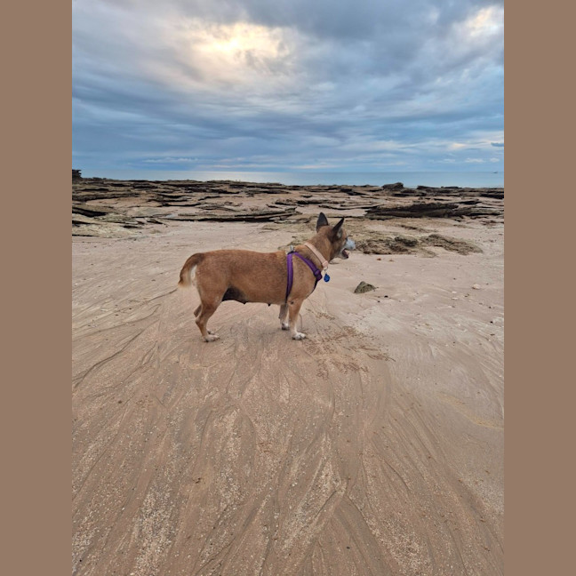 Photo of Winnie