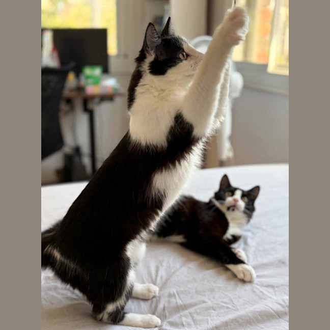 Photo of Felix & Rosie