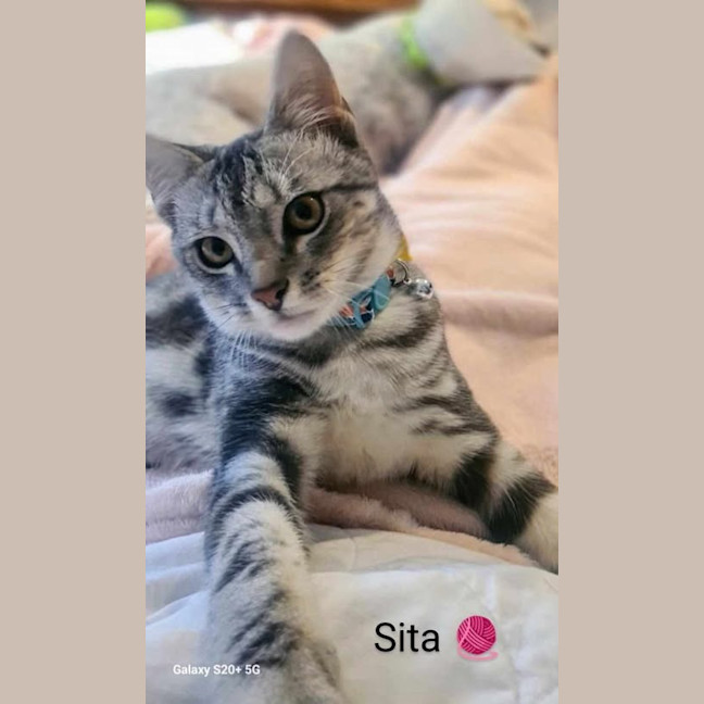 Photo of Sita