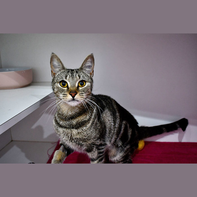 Photo of Kiya