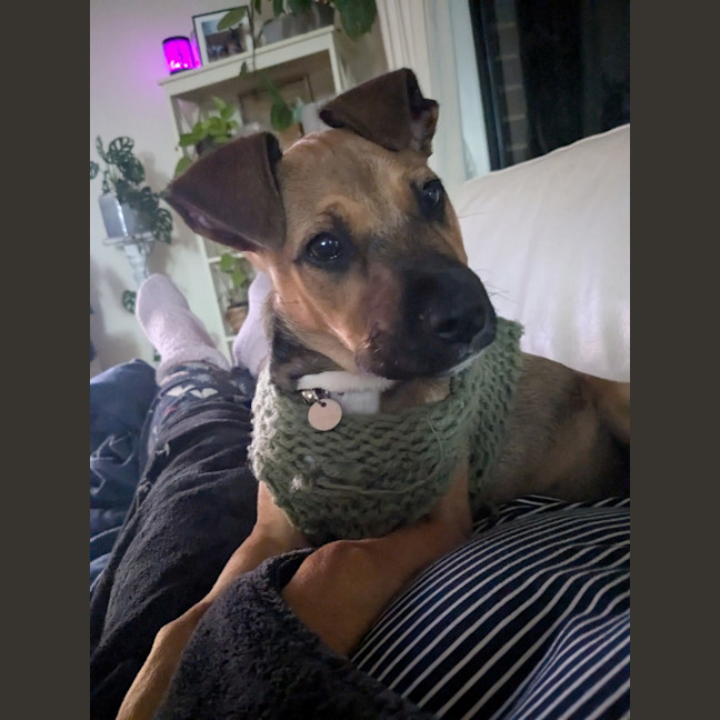 Photo of Matilda