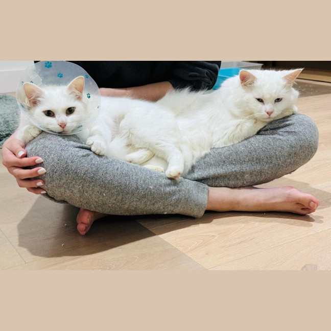 Photo of Liyana And Luci