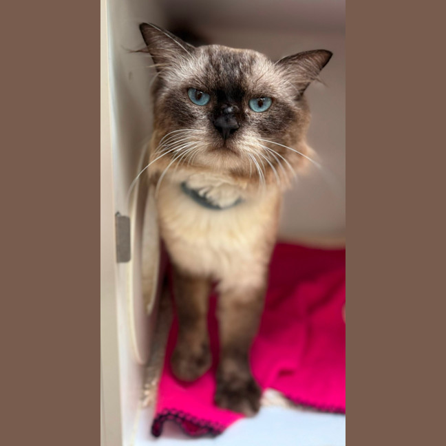 Photo of Ronan (9025)