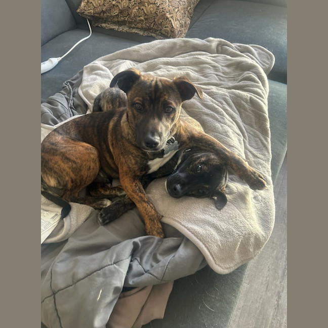 Photo of General Munchkin