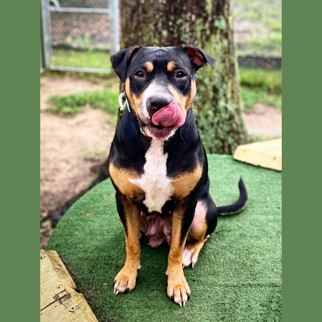 Photo of Marnie
